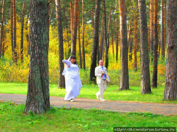 Прогулка по Гилевской роще Тюмень, Россия