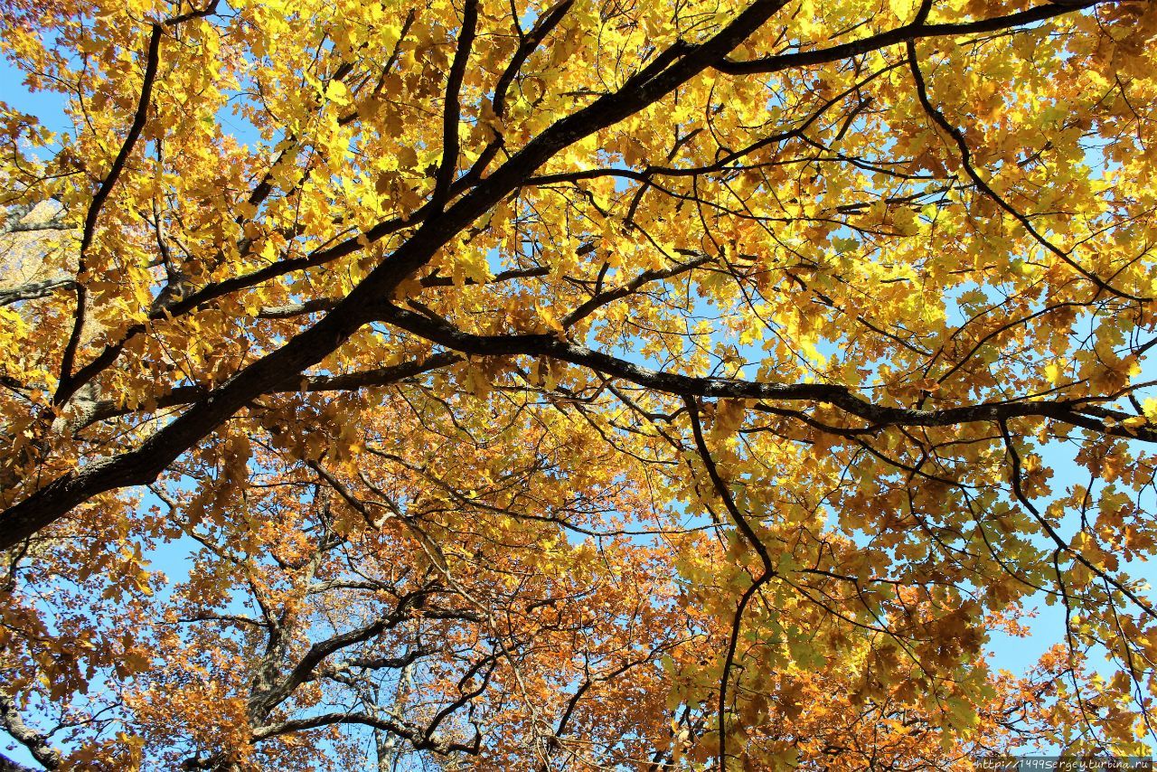 Золотая осень в Павловском парке #3 Летящий Меркурий