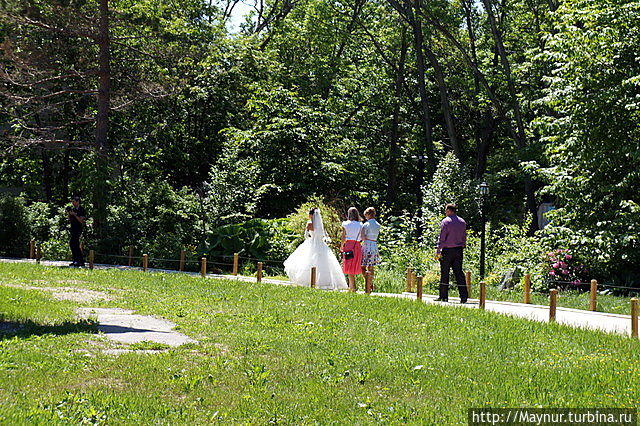 А  вот  и невеста ! Южно-Сахалинск, Россия