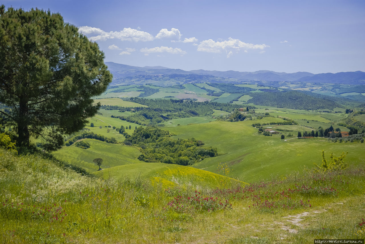 Окрестности San Gimignano Сан-Джиминьяно, Италия