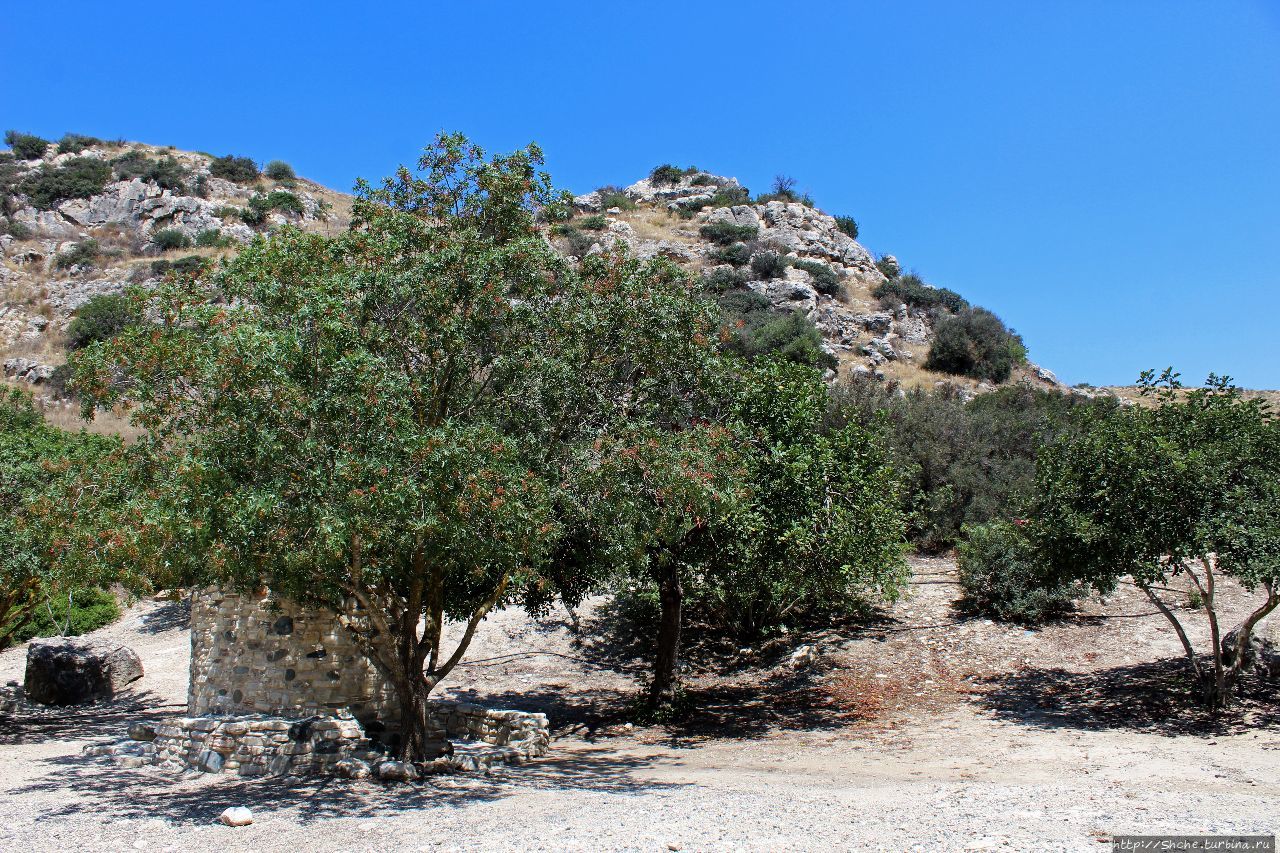 Реконструкция неолитического поселения Хирокития, Кипр