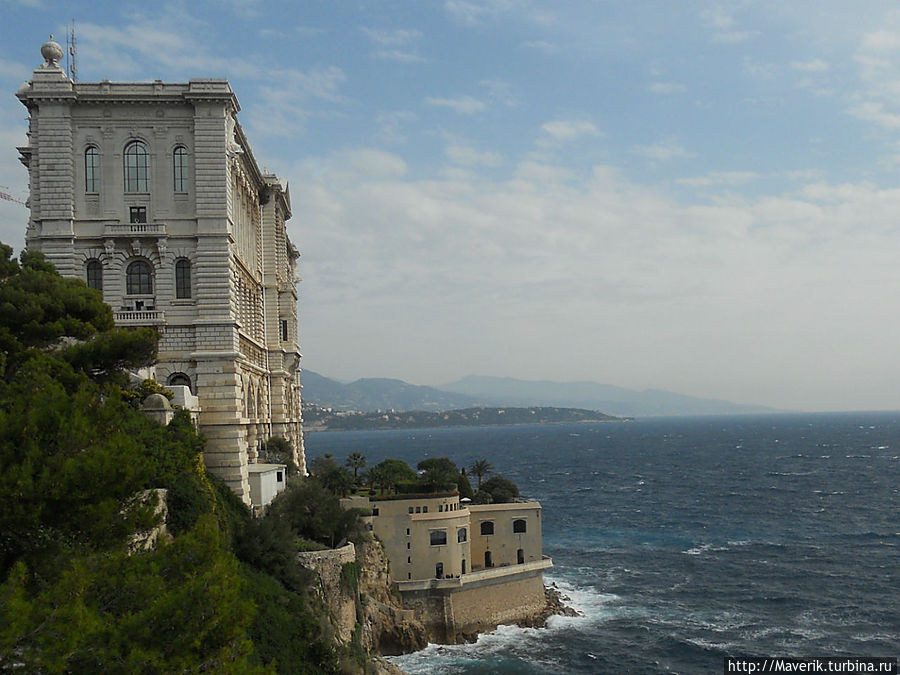 Океанографический музей Монако.

Здесь находится музей, открытый 1889 году князем Монако Альбертом I и океанографический институт, открытый 1906 году. Жак Ив Кусто-знаменитый учёный-океанолог занял место директора в 1957 году. Он дал новый виток жизни музею. Здесь сегодня находятся 90 аквариумов которые дают  возможность посетителям заглянуть в воды абсолютно всех морей и океанов земного шара.