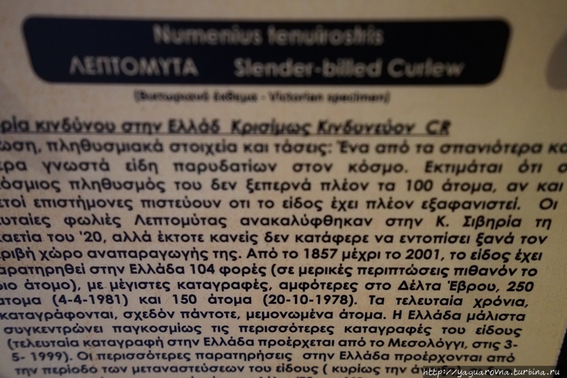 Музей естествознания и грибов Каламбака, Греция