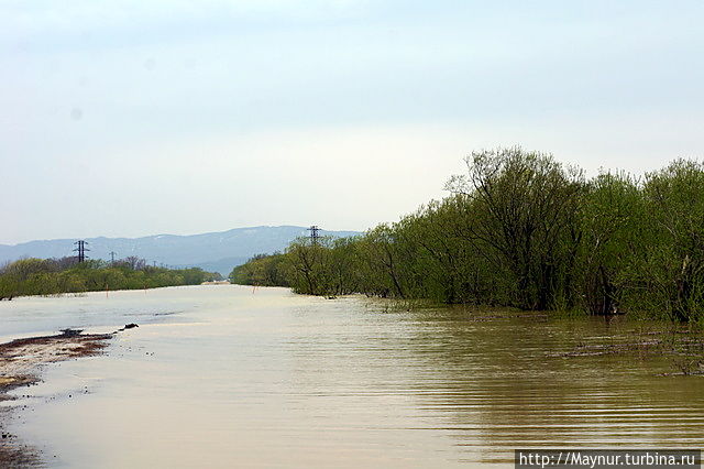 Небольшая речка под названием Суходол покрыла толщей воды не только луга, но и дорогу, Южно-Сахалинск, Россия