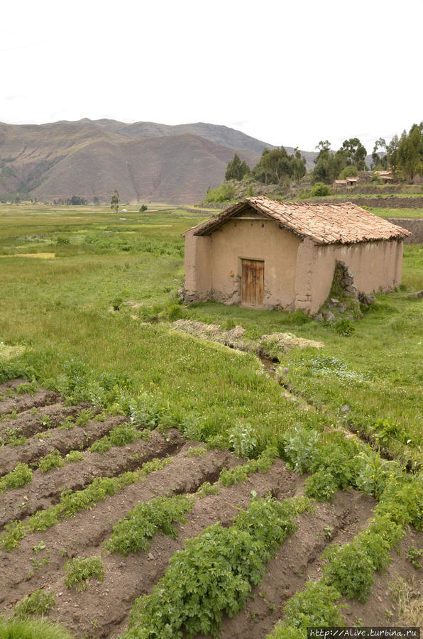 Склад картошки на поле Перу