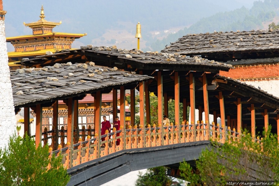 Из интернета Пунакха, Бутан