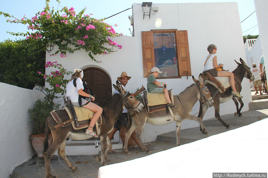 Осёл как вид транспорта Линдос, остров Родос, Греция