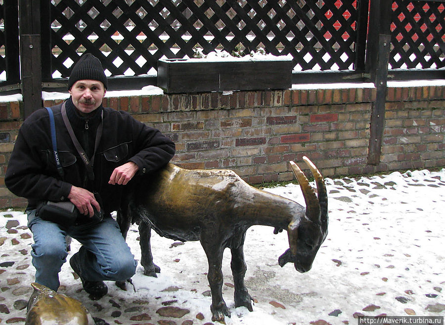 Памятник убойному скоту. Вроцлав, Польша
