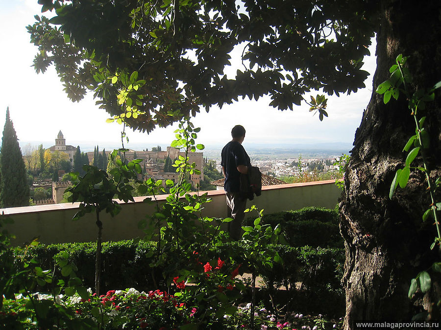 Сады Генералифе в Альгамбре Гранада, Испания