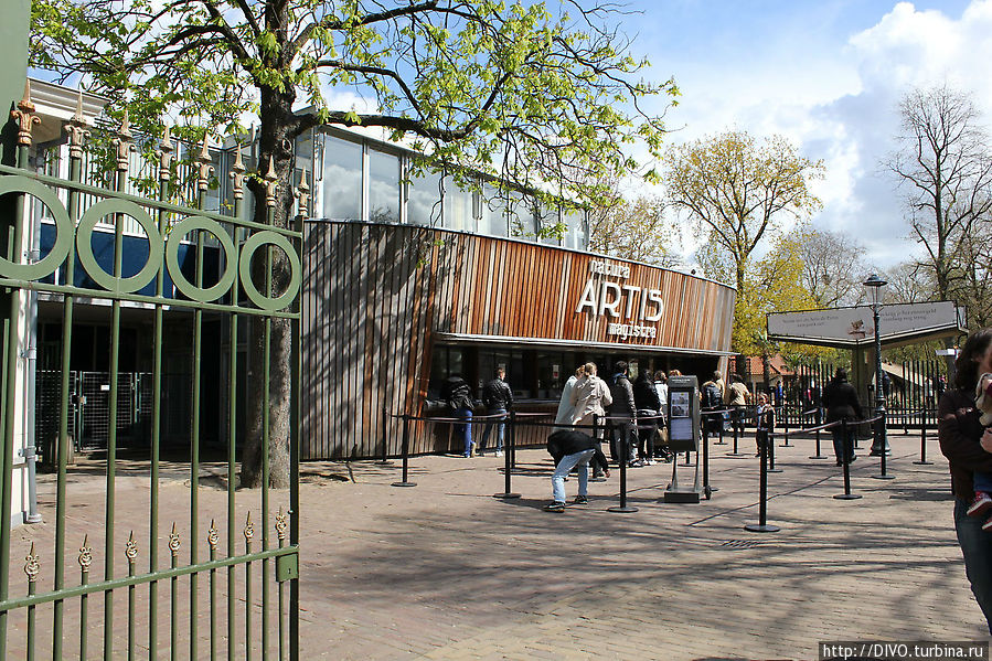 Зоопарк  Артис Амстердам, Нидерланды