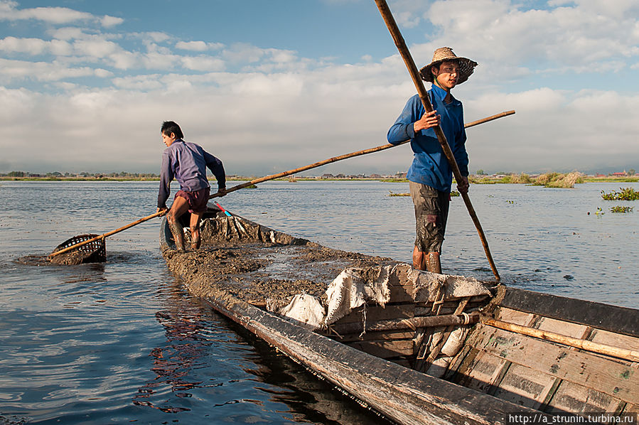 На озере Инле Озеро Инле, Мьянма