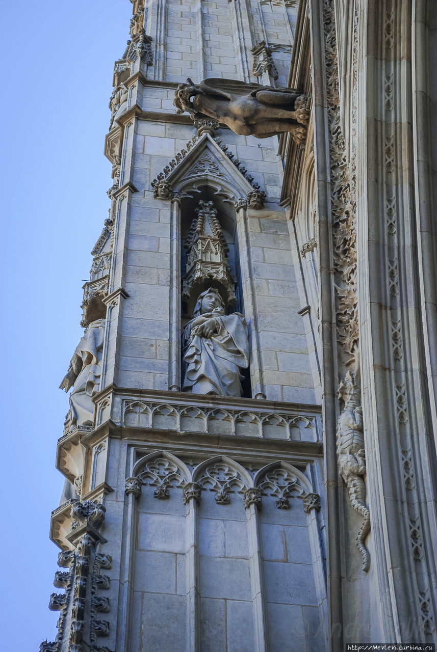 Кафедральный собор изнутри Барселона, Испания