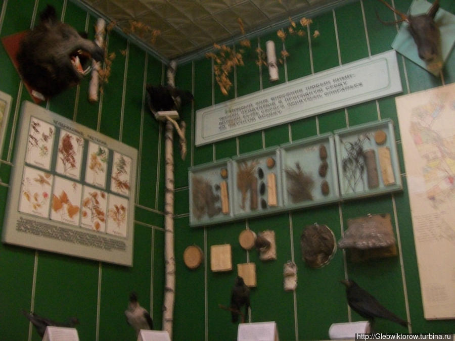 Успенский краеведческий музей Тюмень, Россия