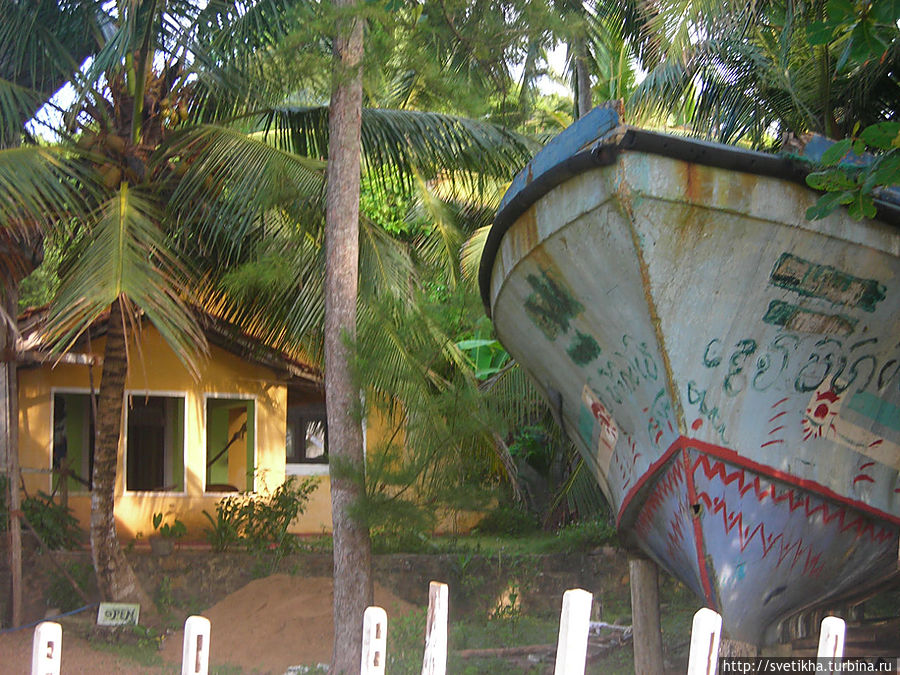 Желтенький домик вдали,где я снимала комнату Тангалла, Шри-Ланка