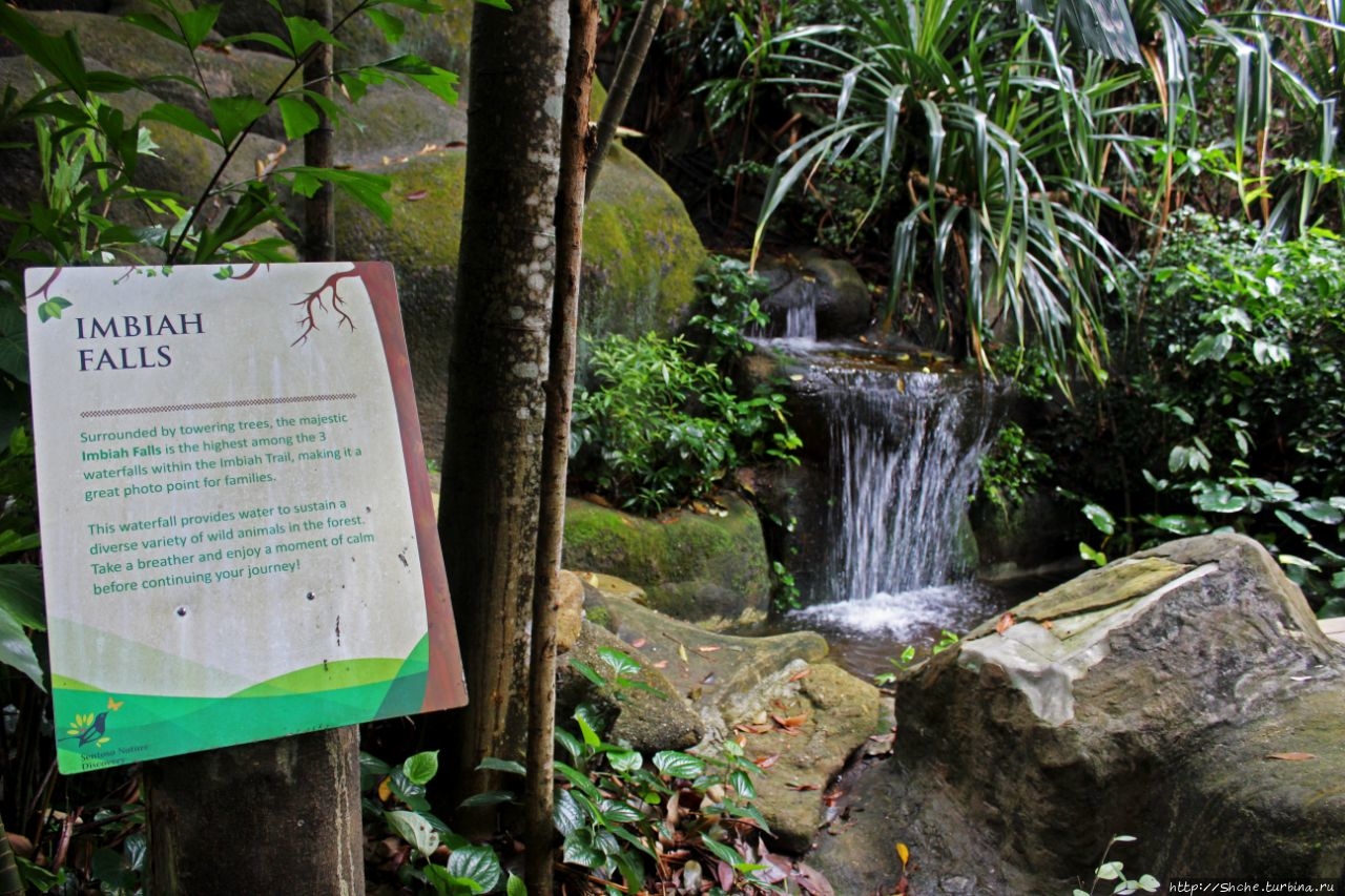 Водопад Имбиа остров Сентоза, Сингапур (город-государство)