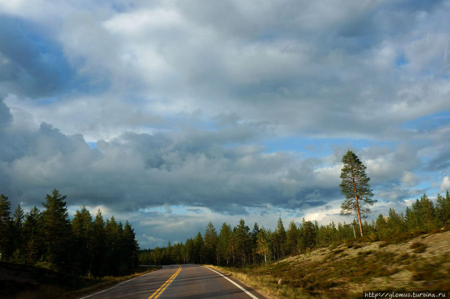 Скучная дорога. Дороги Финляндии арты. Дорога в Финляндии из окна. Finnish Road f 1.