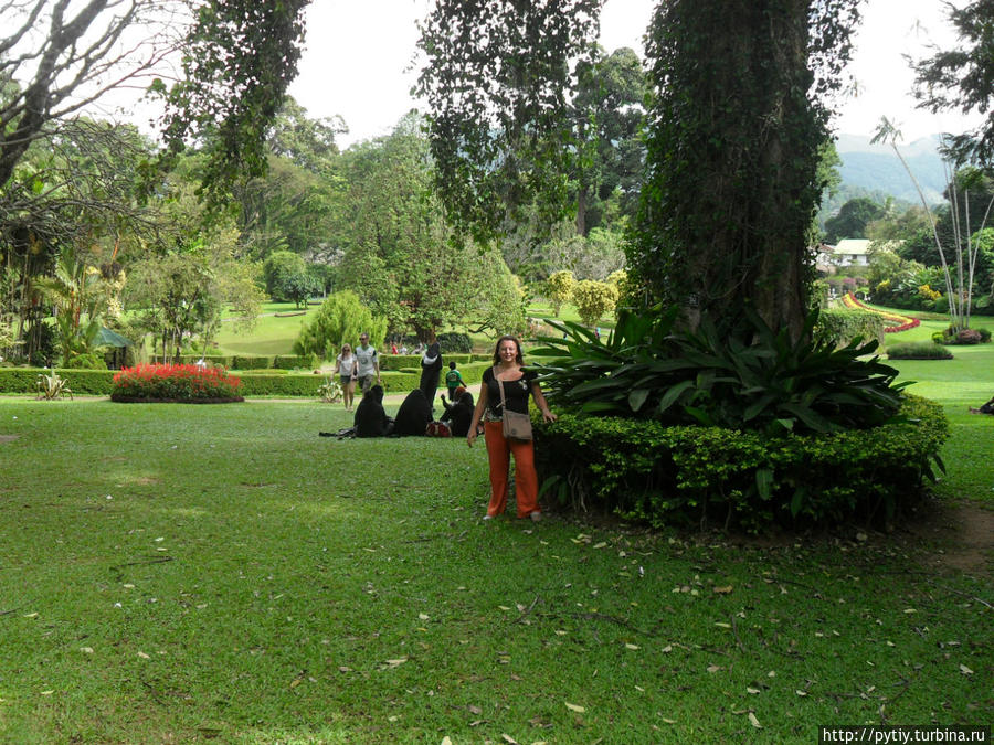 Ботанический сад. Хиккадува, Шри-Ланка