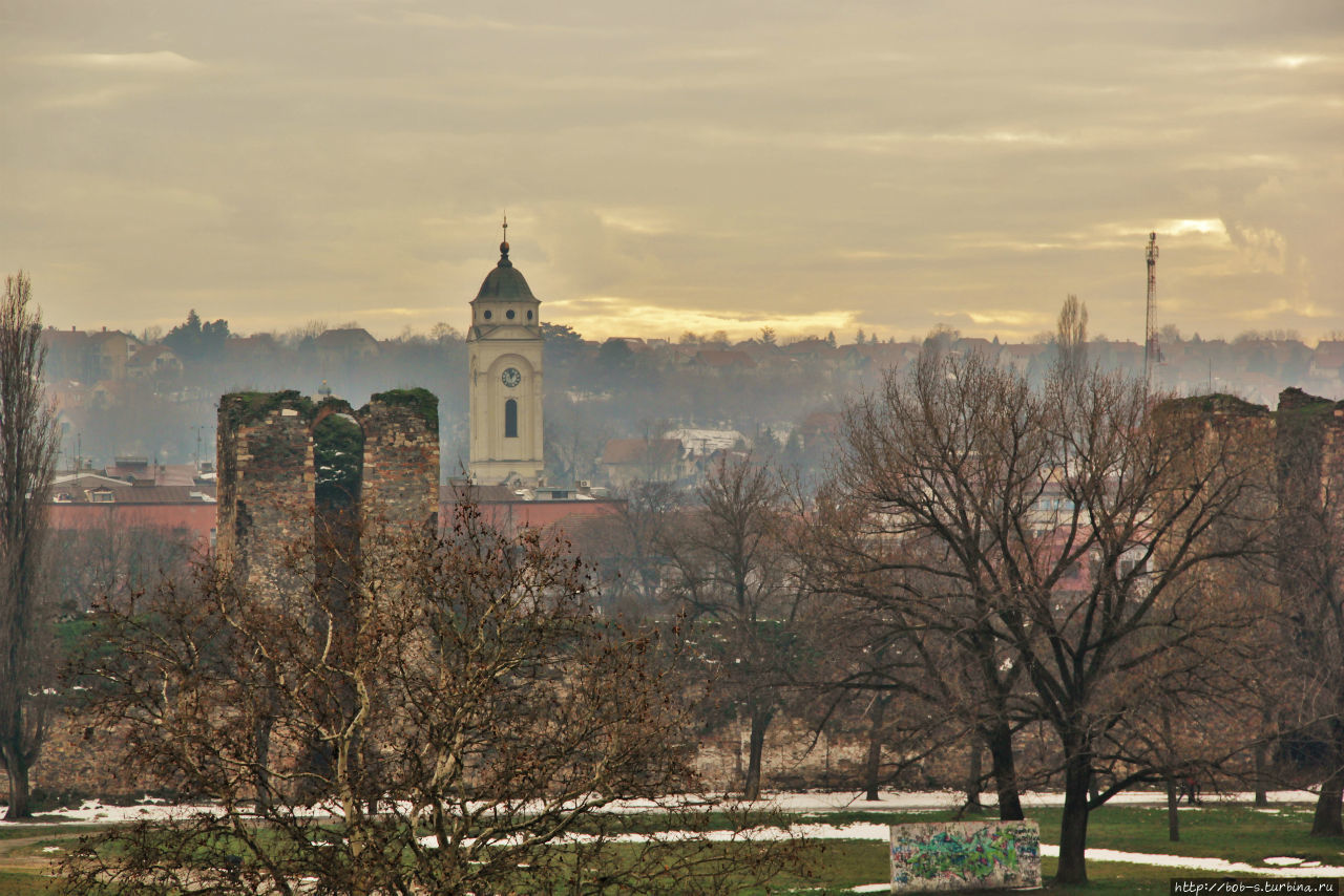 Вид на Смедерево с крепости Смедерево, Сербия