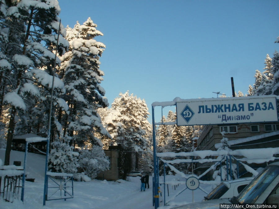 Динамикос — по-гречески сильный! Санкт-Петербург и Ленинградская область, Россия