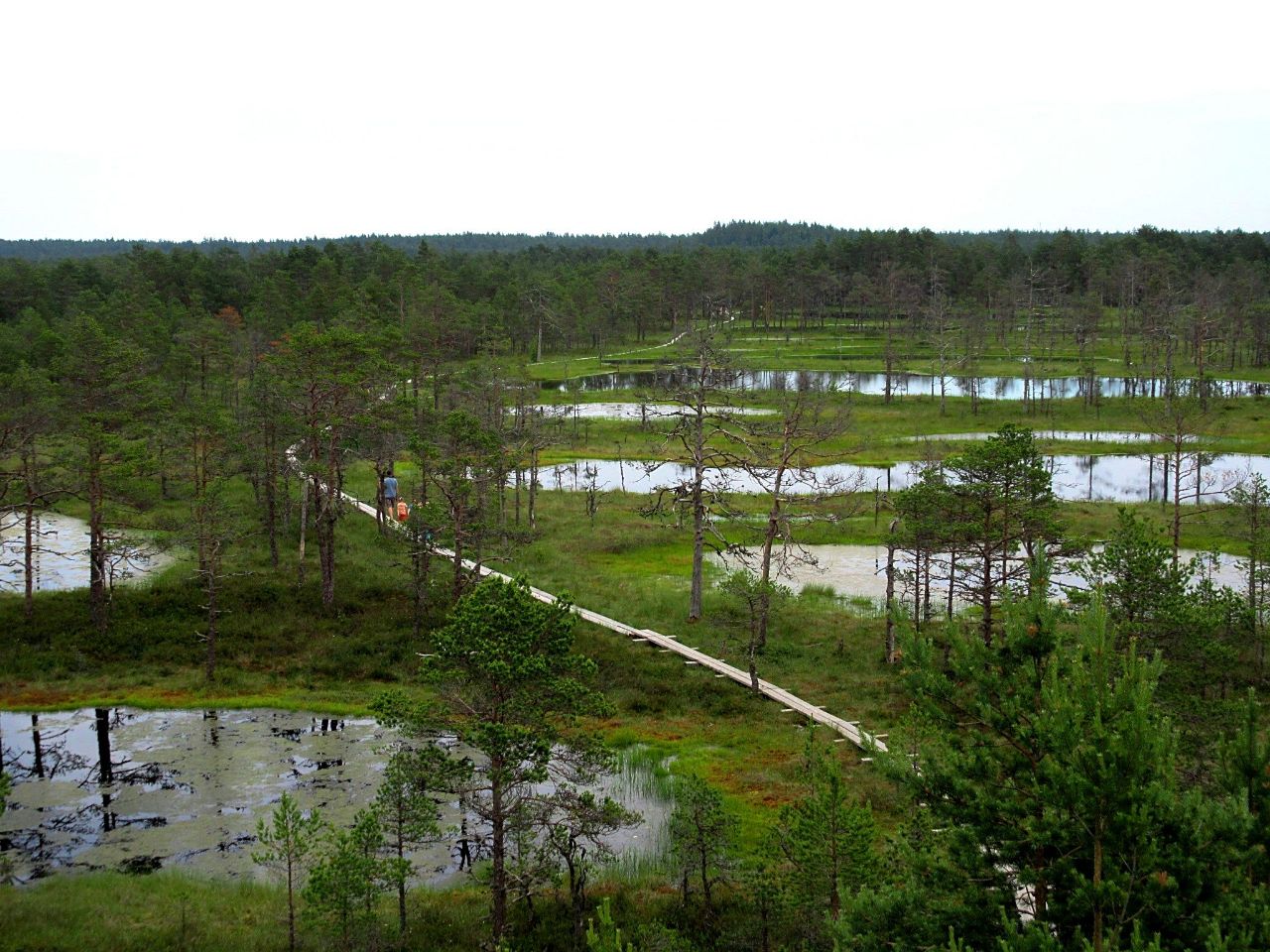 Всяк кулик свое болото хвалит Эстония