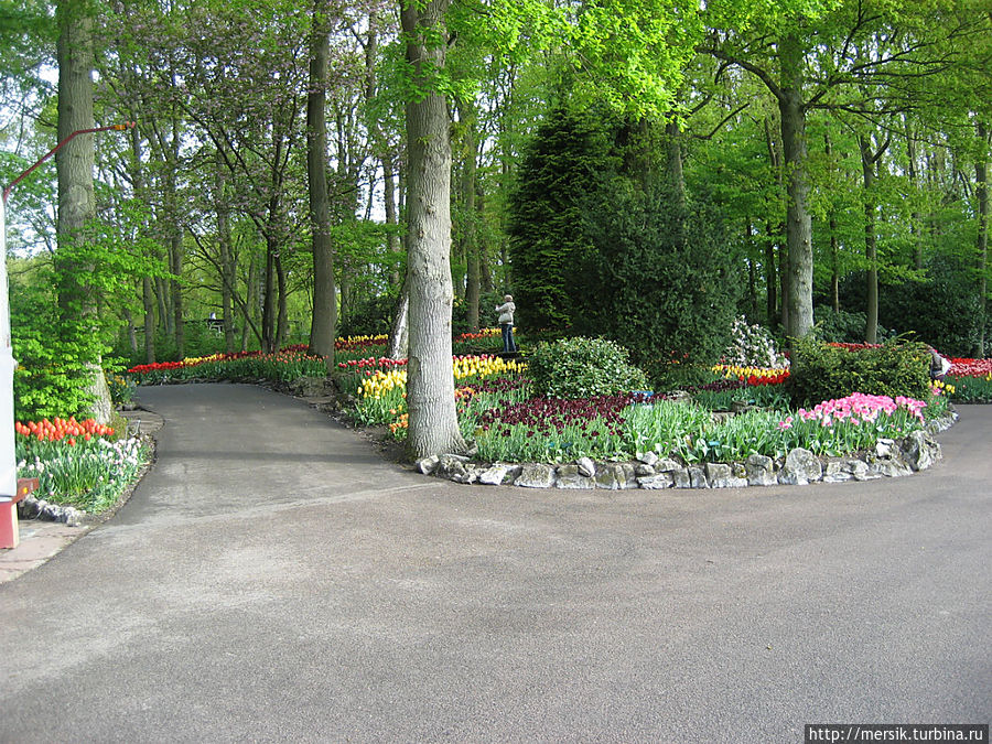 Парк тюльпанов Кёкенхоф. Пруды, каналы, фонтаны Лиссе, Нидерланды