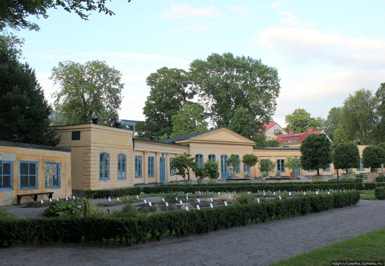 Сад Линнея Уппсала, Швеция