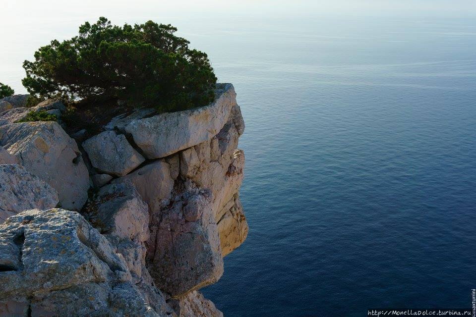 Sardegna полуостров Капо ди Каччиа Альгеро, Италия