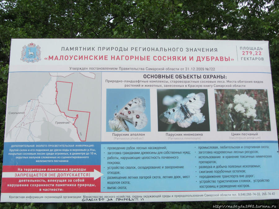 Рачейский бор самарская область карта