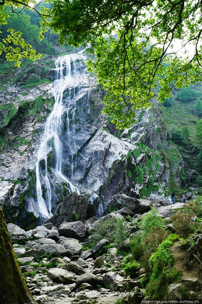 Водопад Пауэрскорт Эннискерри, Ирландия