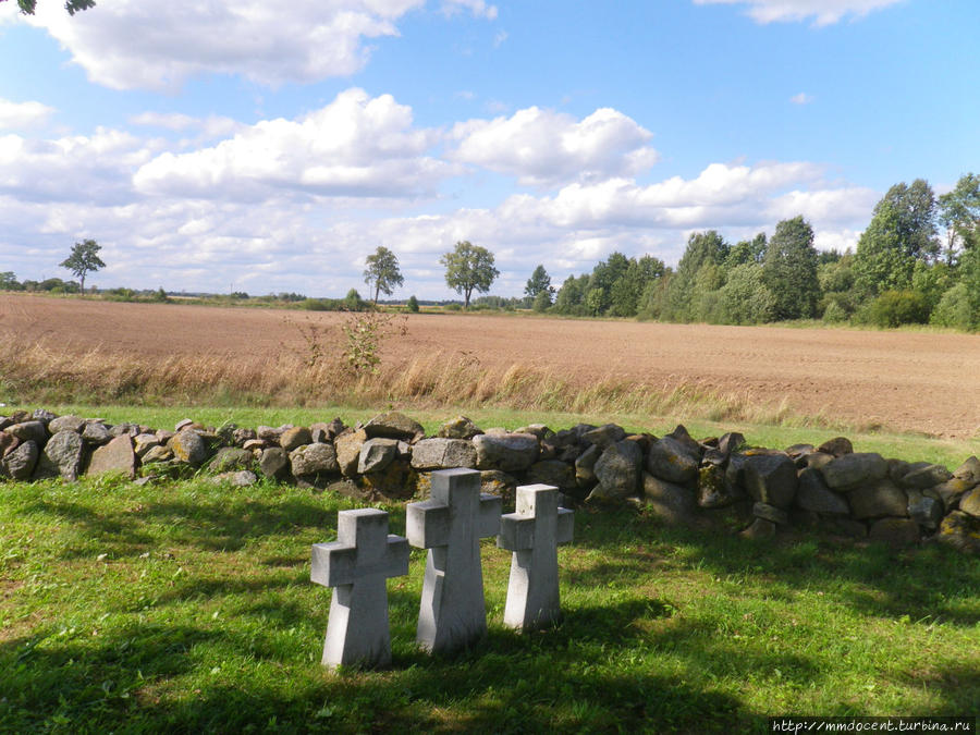 Ширвиндт, все что осталось Нестеров, Россия