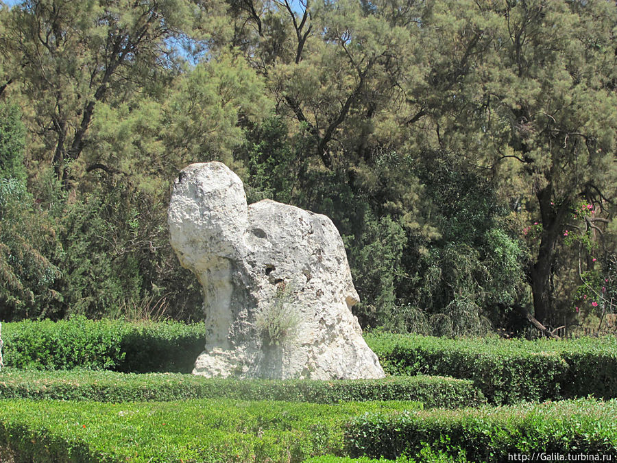 Сад камней в парке Яркон Тель-Авив, Израиль