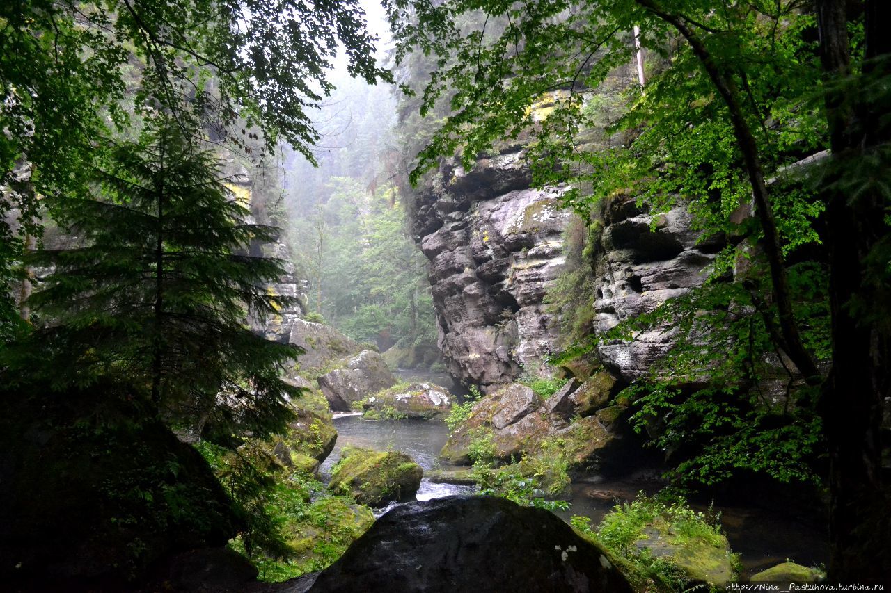 В Национальном парке Чешская Швейцария