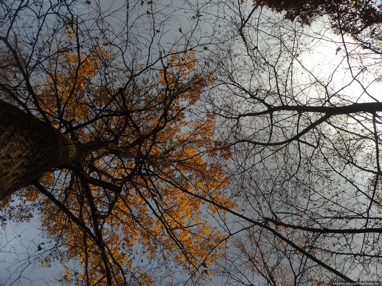 Осень в любимом городе Москва, Россия