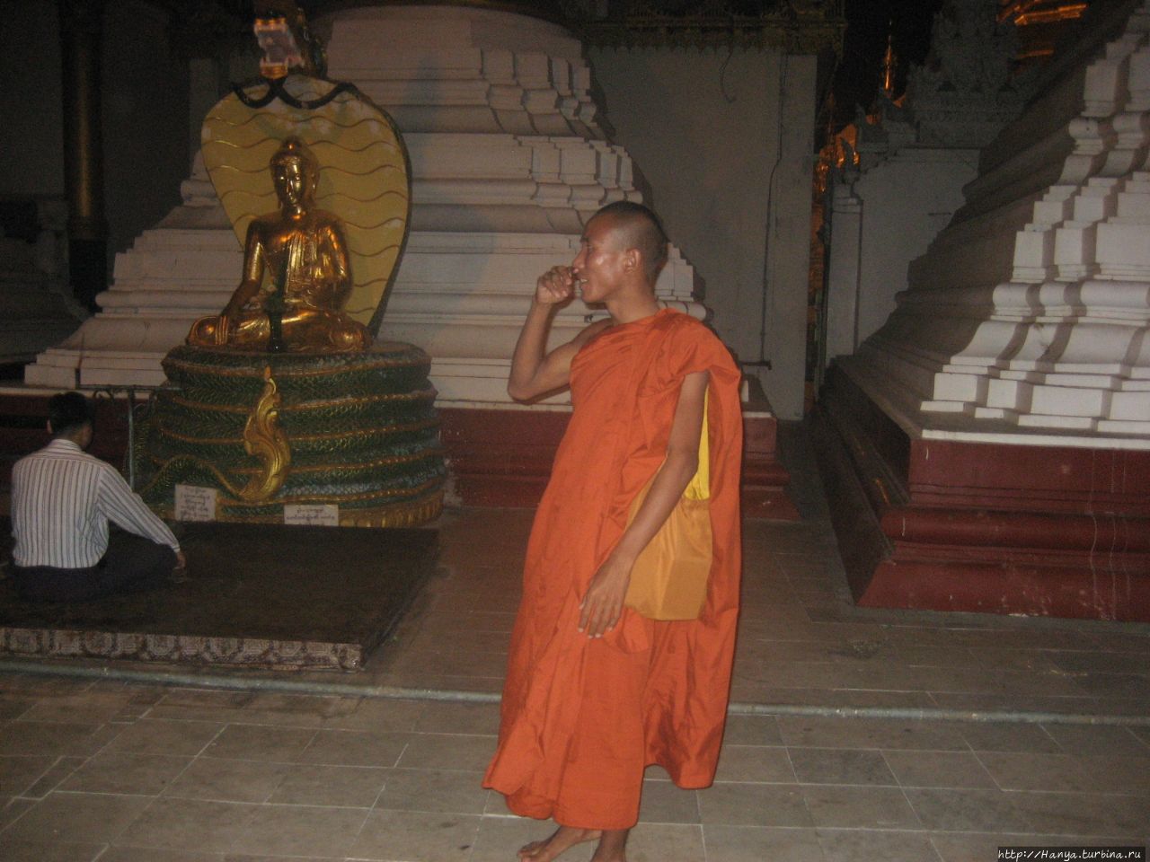 Вечерняя пагода Шведагон. Монах-помогай Янгон, Мьянма