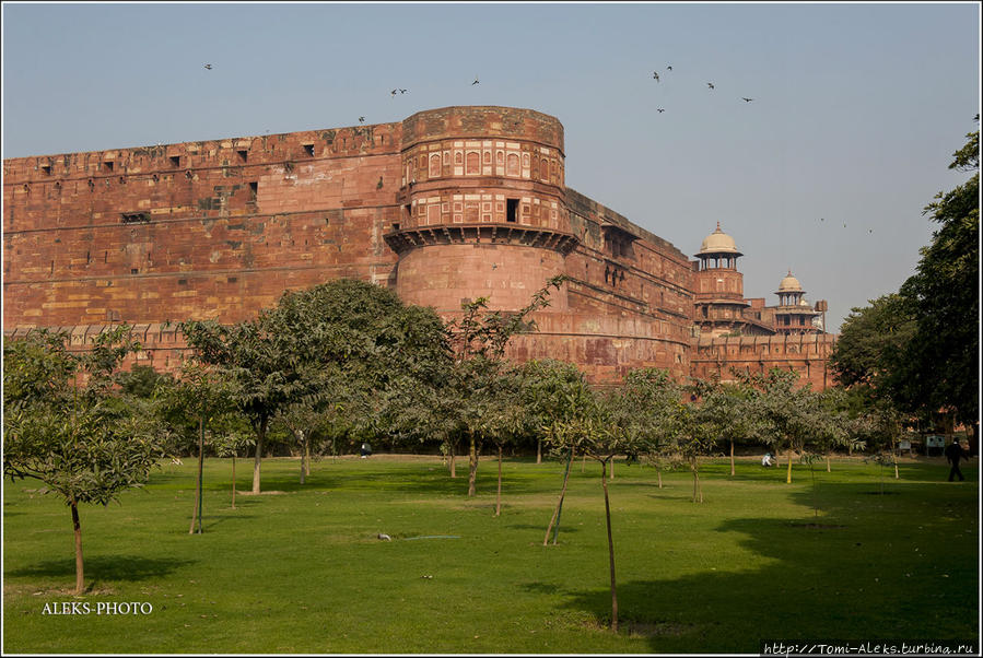Вот они — высокие неприступные стены, с которых мы только что обозревали окрестности... Агра, Индия