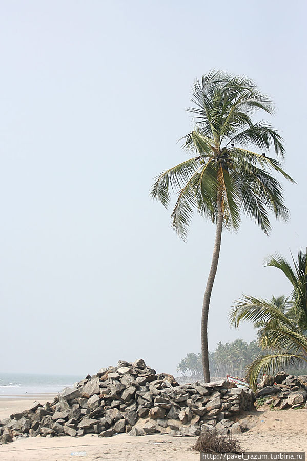 Баунти, Индийский Океан Триссур, Индия