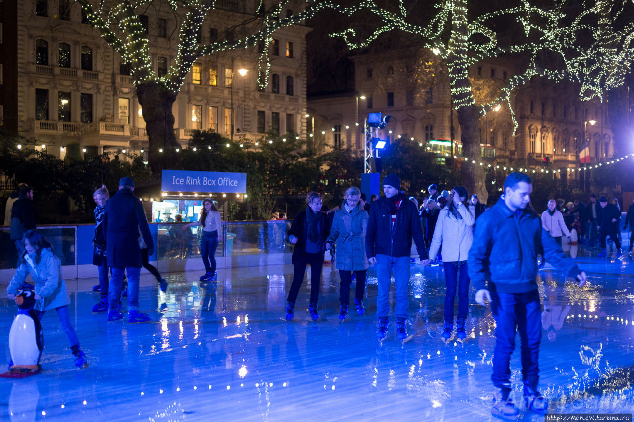 Natural History Museum Ice Rink