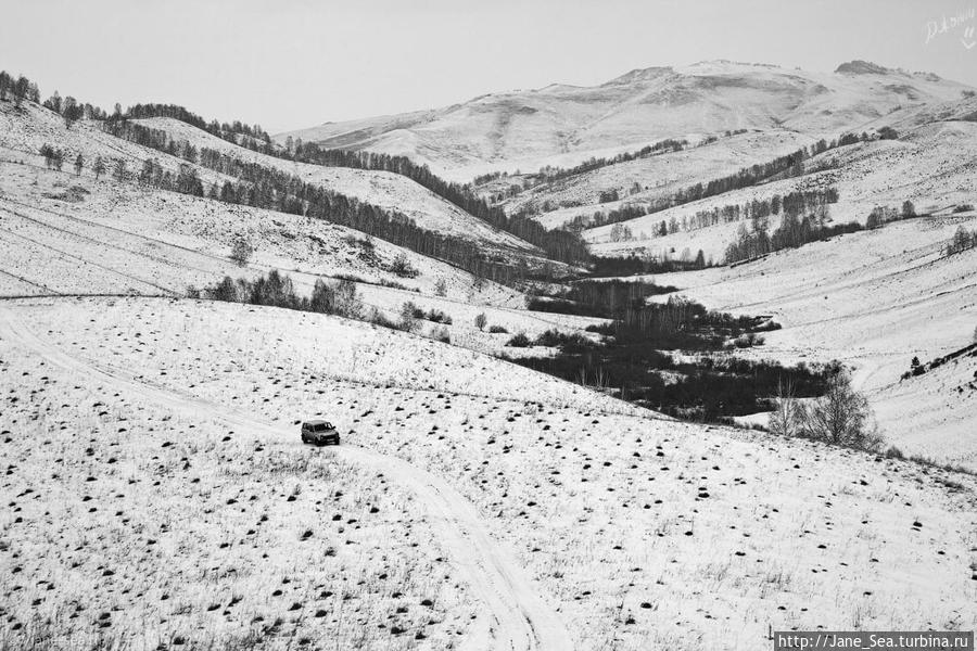 21 января
Бирюксинский перевал Республика Алтай, Россия