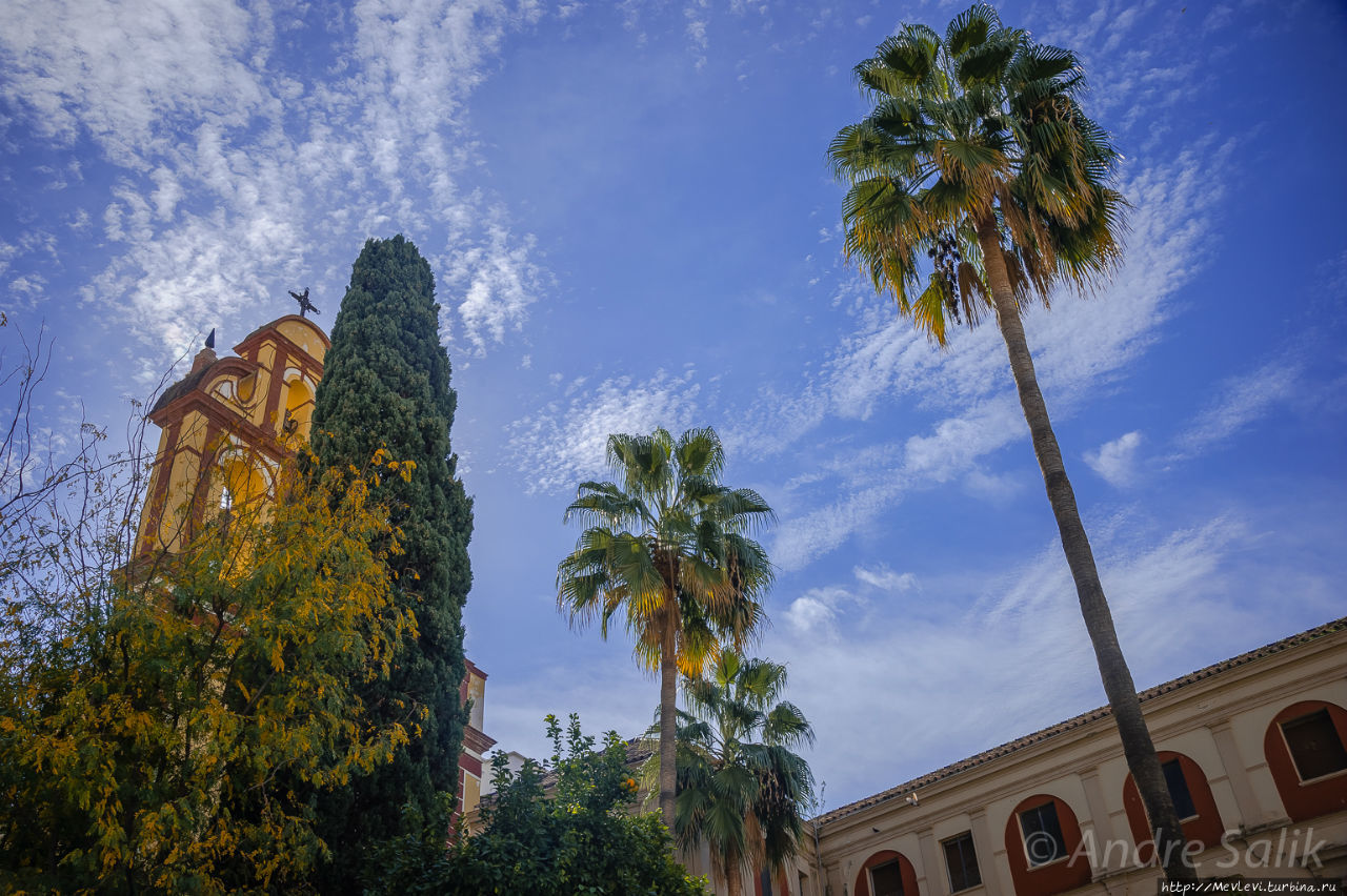 AC Hotel Málaga Palacio Малага, Испания