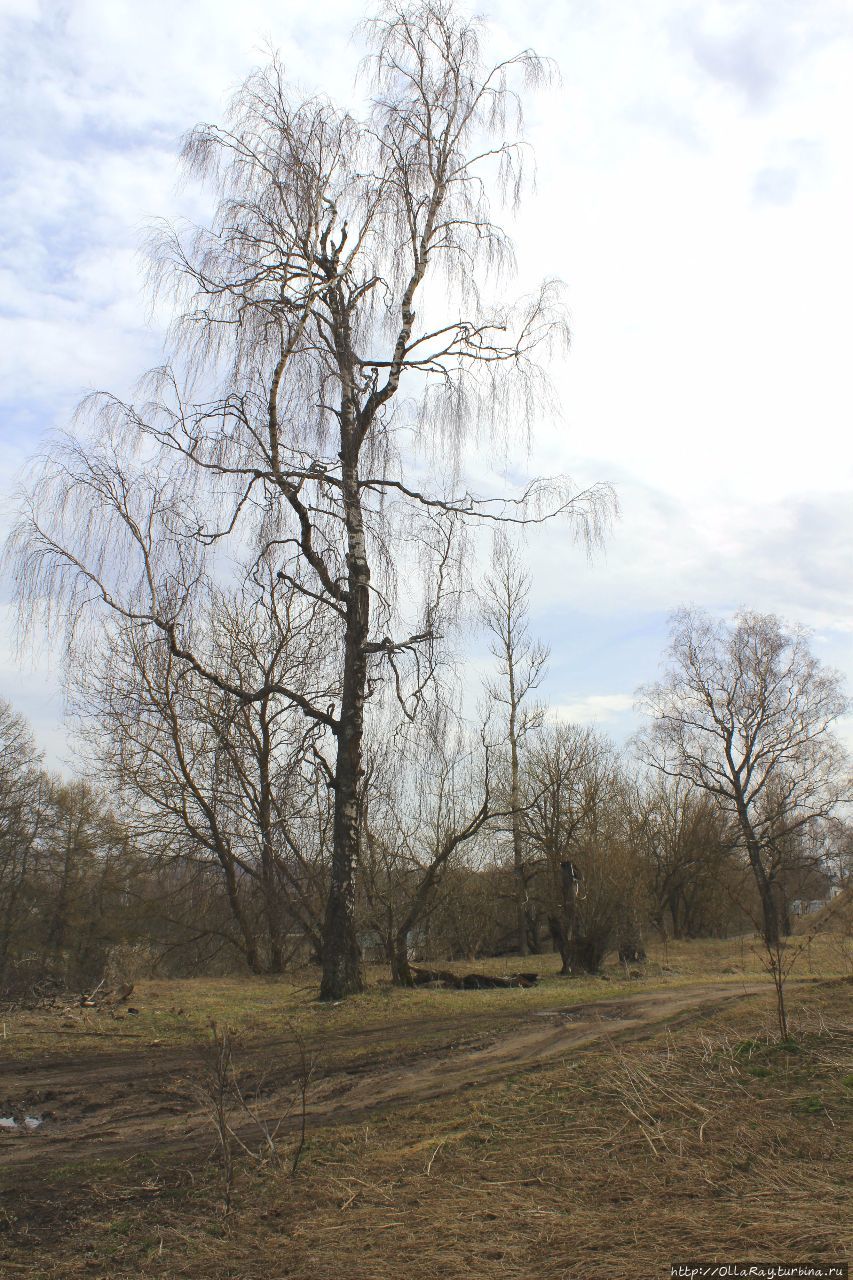 Старица за полдня Старица, Россия