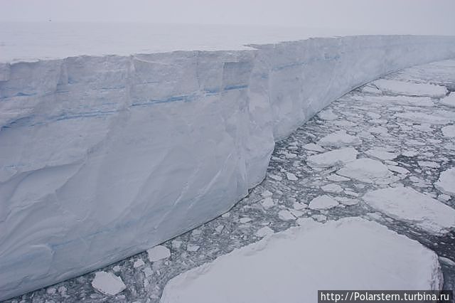 Край ледника уходит за горизонт Атка Айспорт, Антарктида