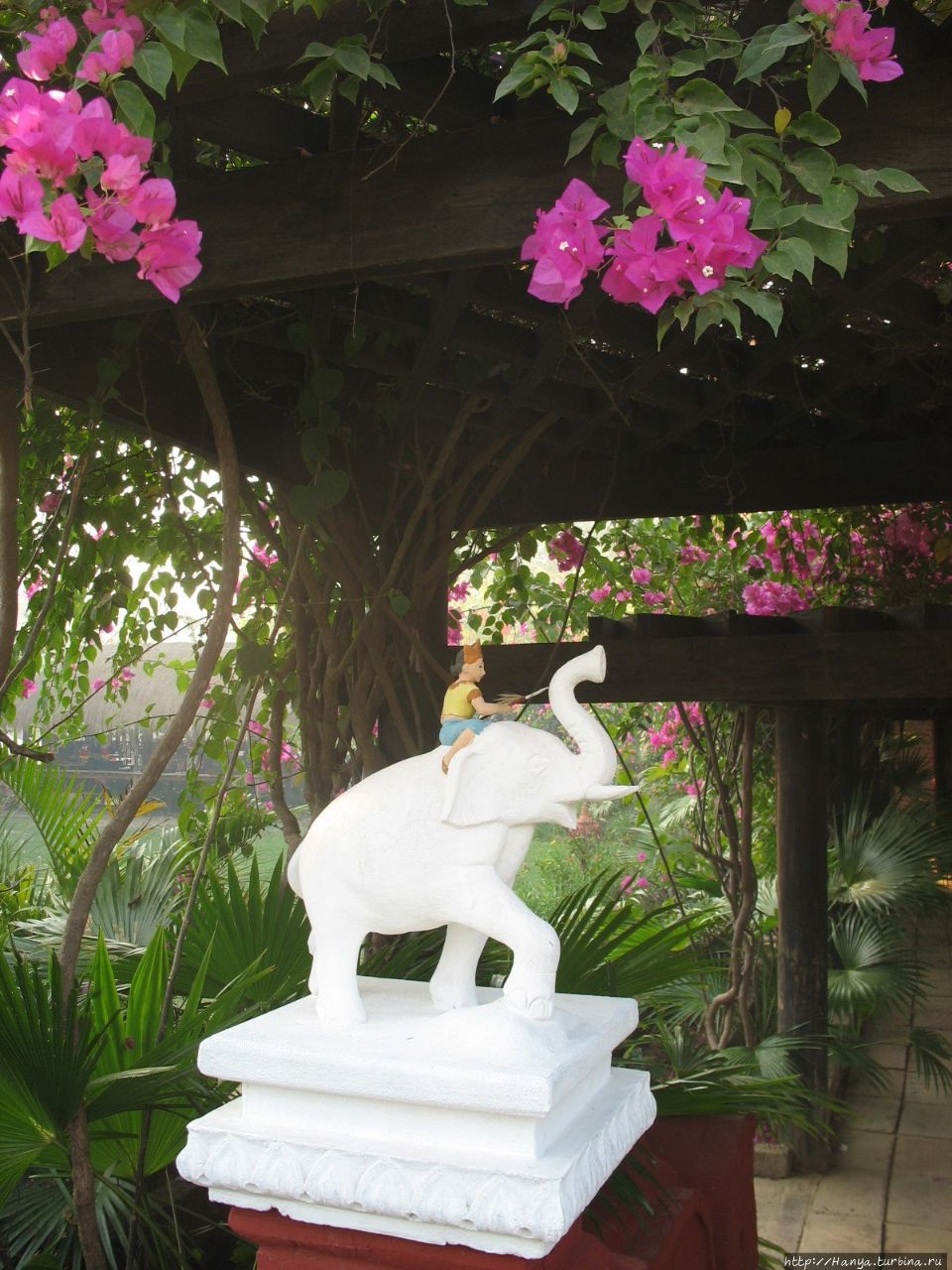 Территория отеля  “Thazin Garden Hotel” в Багане