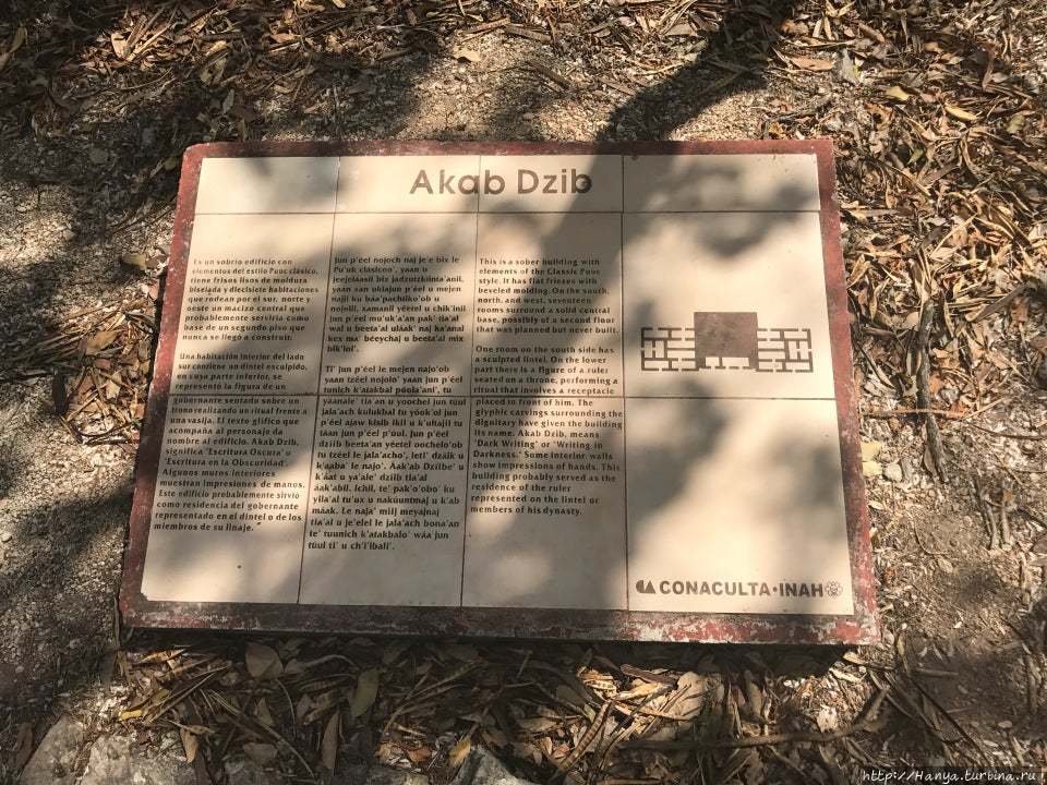 Из интернета