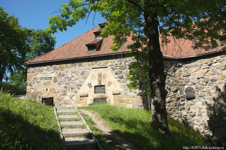 Как экскурсионное мероприятие плавно перетекло в футбольное Осло, Норвегия