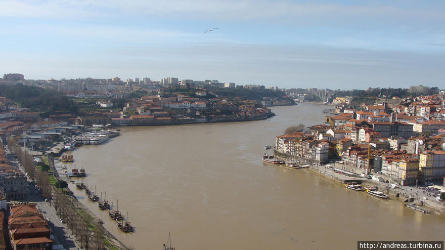 Вид с моста Луиша 1 Порту, Португалия