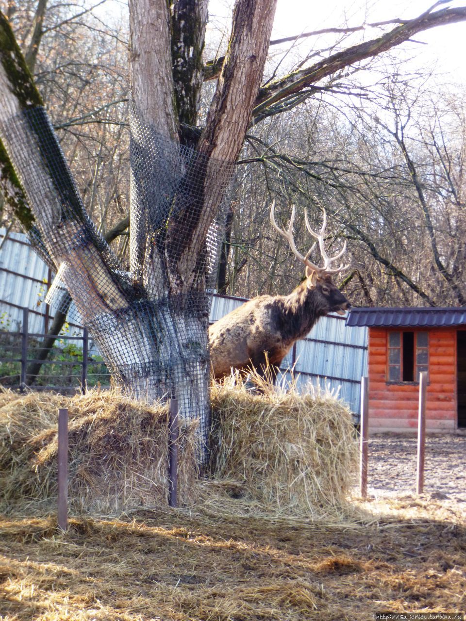 экопарк 