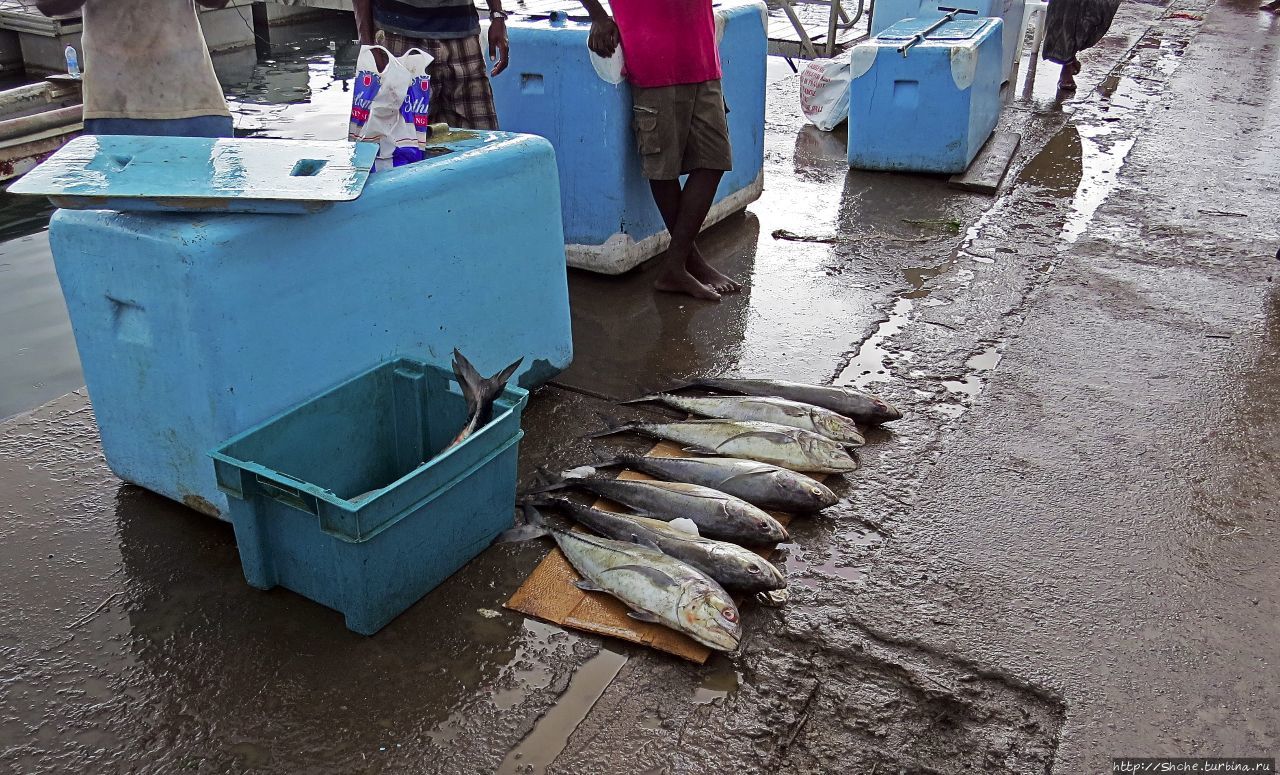 Старый порт Джибути, Джибути