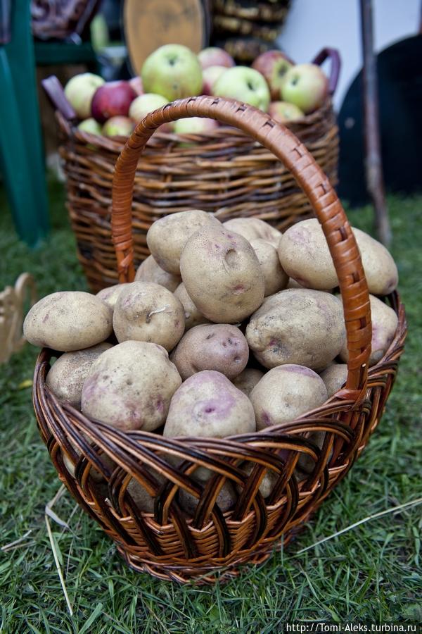 Ландшафтный дизайн на празднике фантазии (Воронеж) Воронеж, Россия