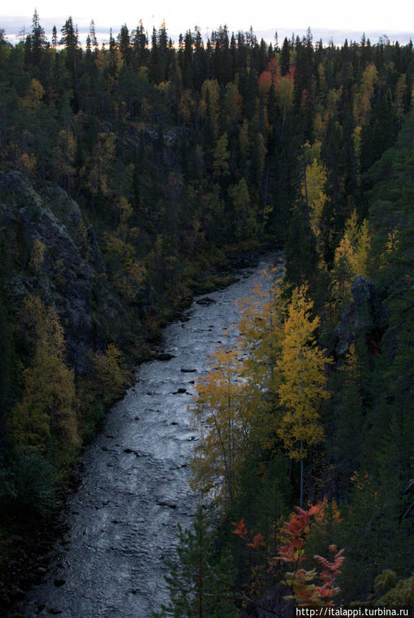 Оуланка — место свидания с  финской природой в Салле Салла, Финляндия