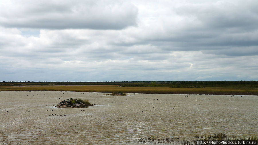 Большое белое место. Восток Этоша Национальный Парк, Намибия